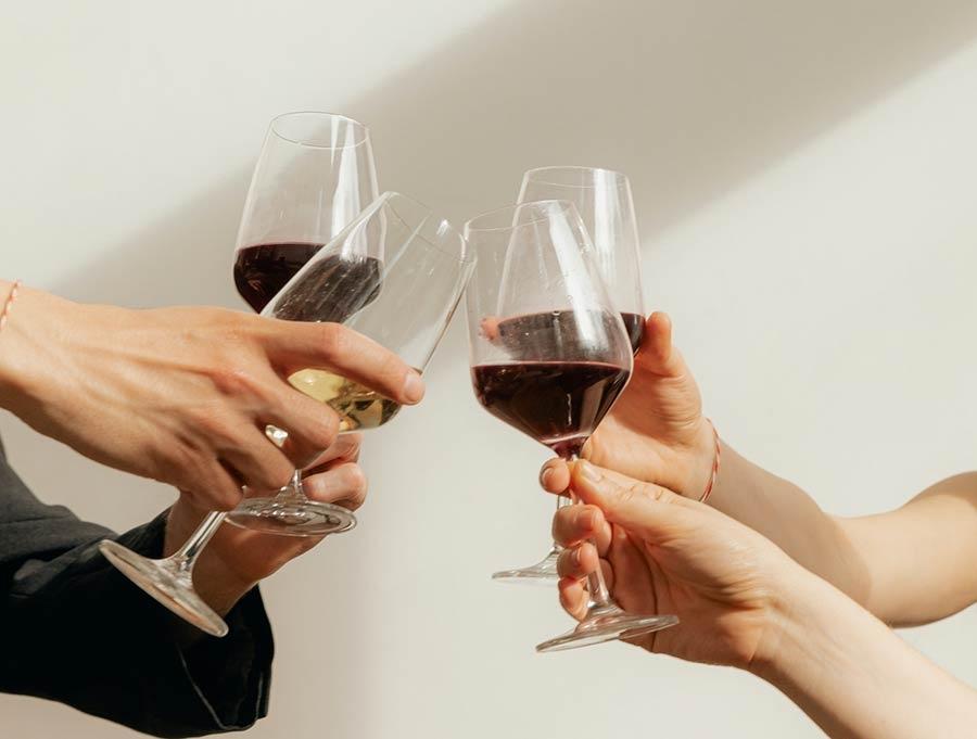 Folk at The Palm House